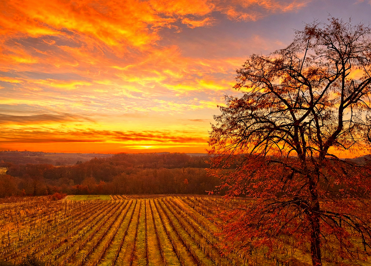 Coucher de soleil - © Comité Départemental du Tourisme de la Dordogne 
