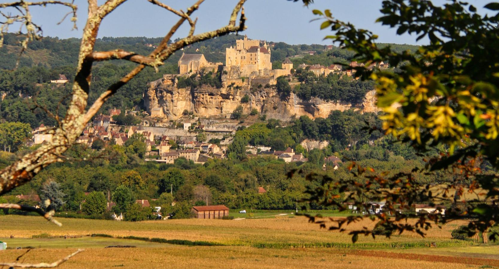vignes Périgord - © Comité Départemental du Tourisme de la Dordogne 